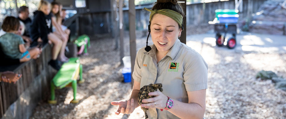 Australian_Reptile_Park