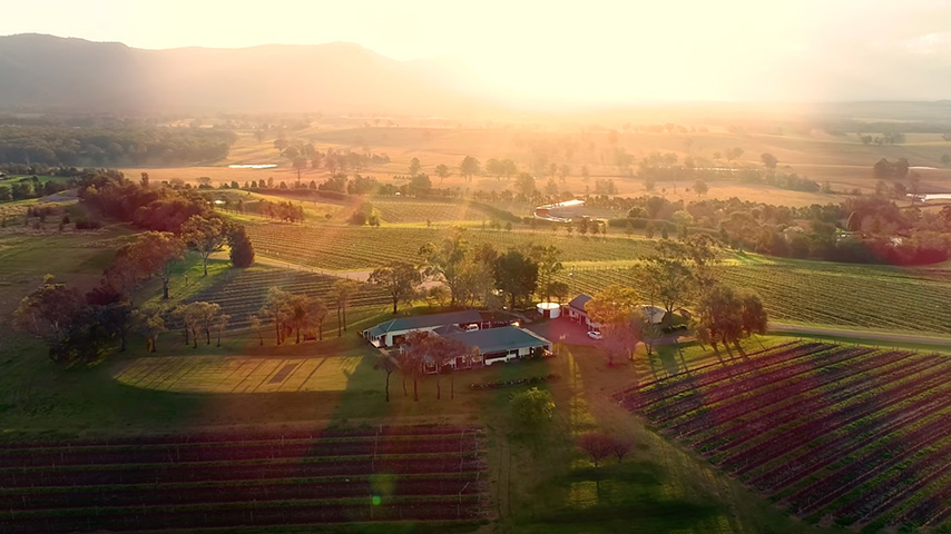 Scarborough Wine Vineyard